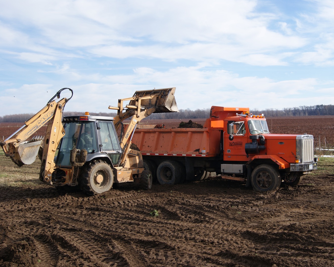 Site Clearing Dumpster Services-Colorado’s Premier Dumpster Rental Services